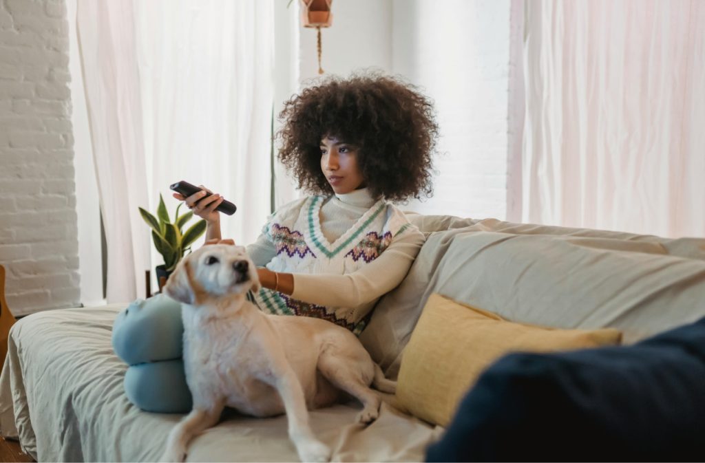 What Do Dogs Like to Watch on TV