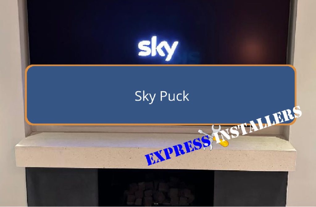 Sky Puck